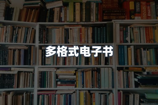 海外电子书